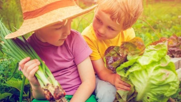 Niños realizando actividades educativas en un huerto