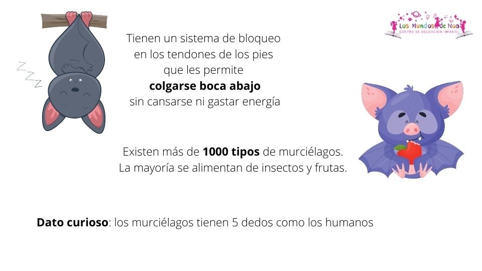 datos curiosos del murciélago
