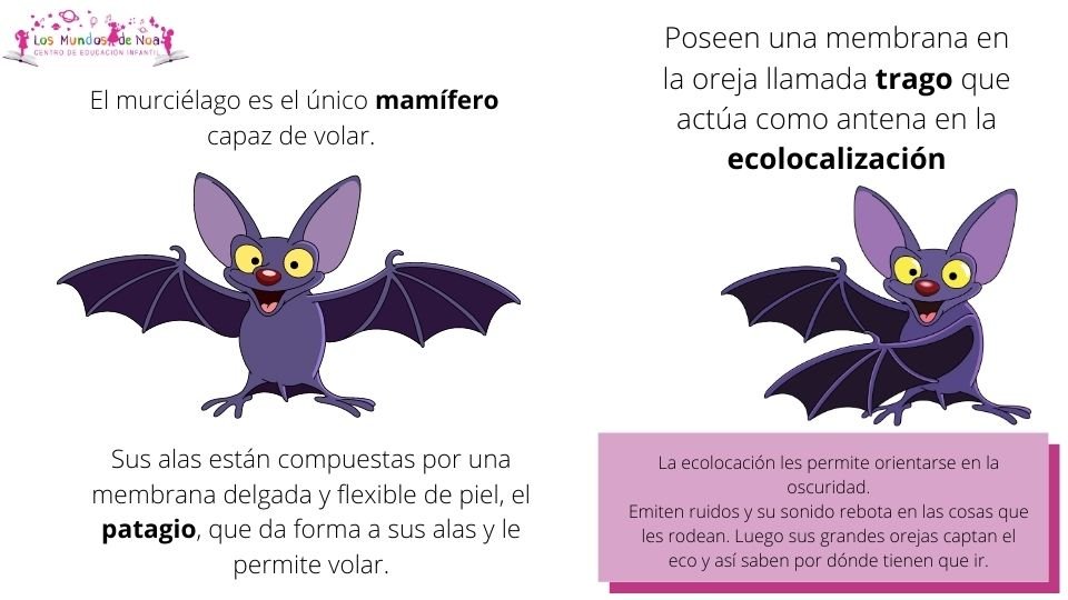 dibujo de murciélago