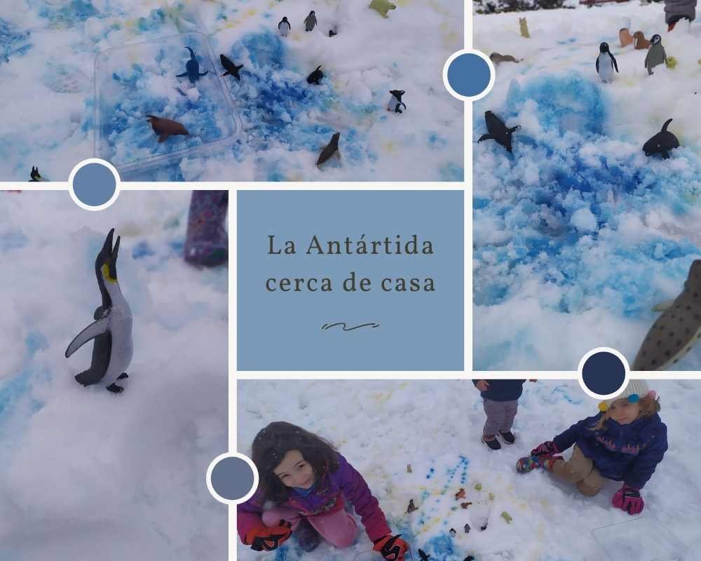 figuras de animales en la nieve