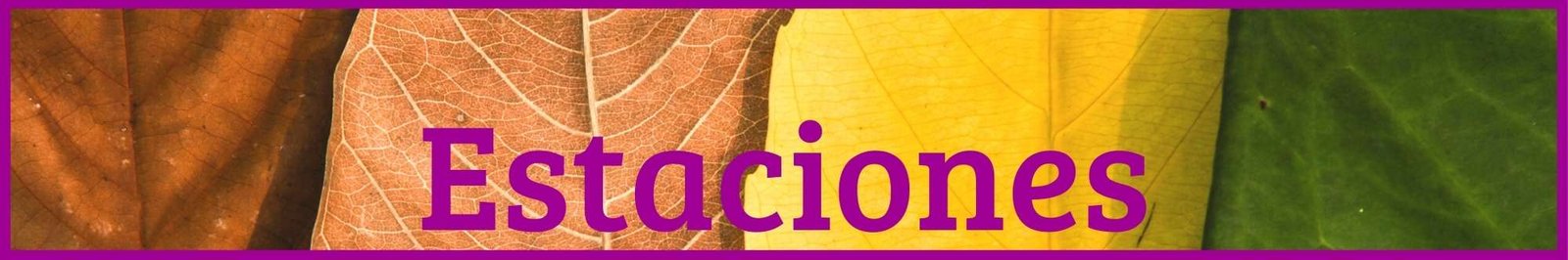 Juegos infantiles para aprender las estaciones