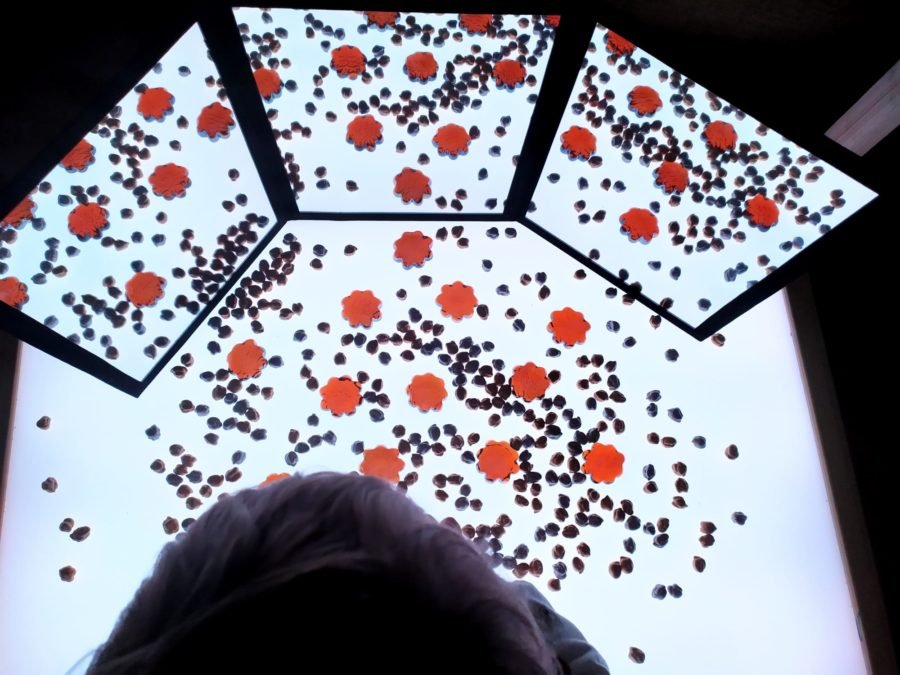 Arte de Yayoi Kusama para infantil