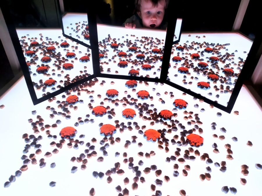 Yayoi kusama espejos infantiles