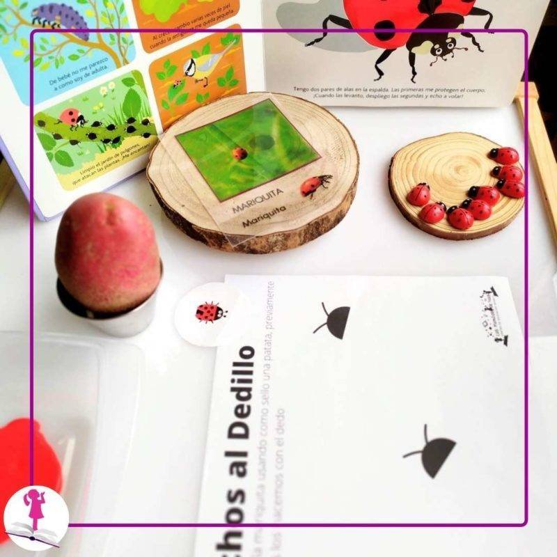 manualidad insectos