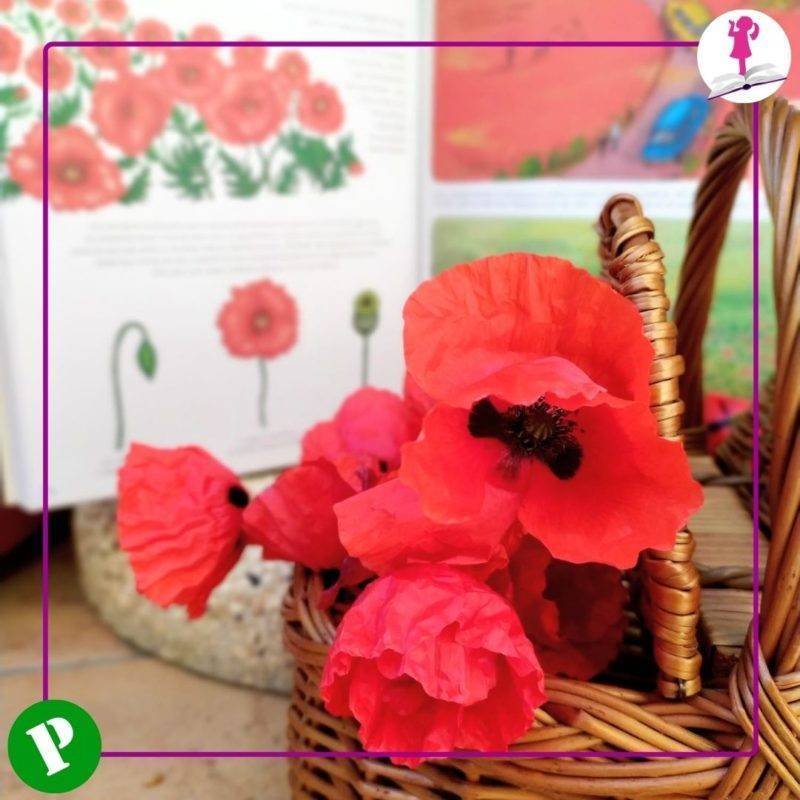 Actividad con flores para niños