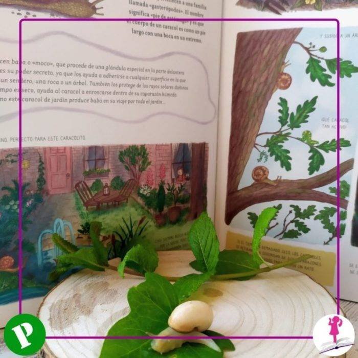 Cuento del caracol