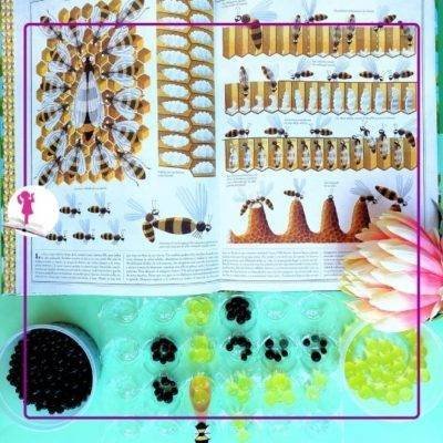 trasvases con bolas de gel