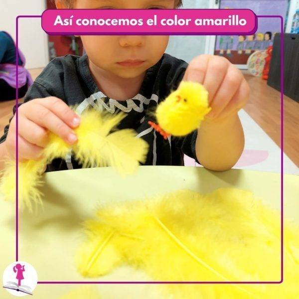 plumas amarillas