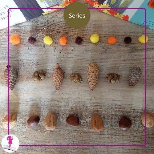 series con frutos y colores de otoño