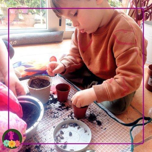 niño plantando semillas de girasol
