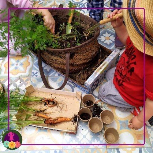 niño recolectando zanahorias