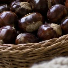 Cesta de mimbre llena de castañas