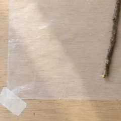 Papel adhesivo transparente pegado a la mesa