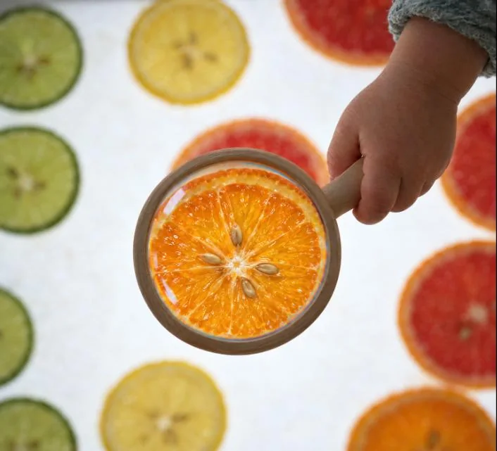 Rodaja de naranja vista a través de una lupa sobre la mesa de luz, con los gajos y las pepitas ampliados