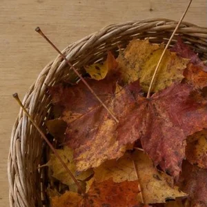 Cesta de mimbre baja con hojas secas de otoño