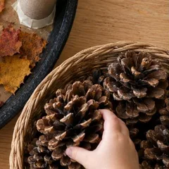 Cesta de mimbre con piñas grandes